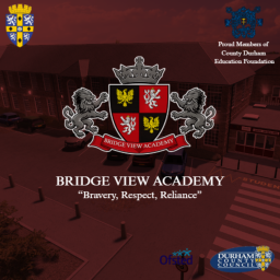 BVA | Bridge View Academy