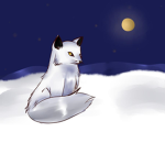 SNOW FOXES UNITED