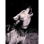 ~Mystic Shadow~