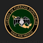 Grupo ########## de fuerzas especiales (CFE)