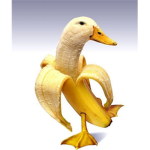 Duckling Dynasty