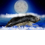 Moonlight Seals.