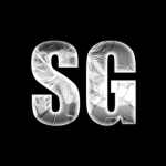 Dragon Ball Soul Genesis