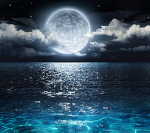 MoonLight's Shine