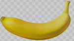 LIFE… is Roblox
