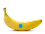 Banana are too cool