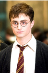 Harry Potter series fans