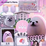 Eggdog Moments