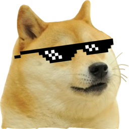 The Doge