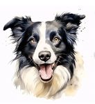 The border collie club!