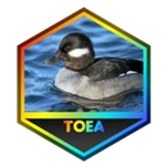 caption=Badge