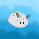 The cult of the sea bunnies