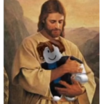 ̶N̶̶a̶̶r̶̶_̶̶m̶̶a̶̶y̶̶_̶̶z̶̶u̶̶M̶