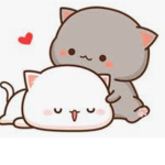 Love kitty<3
