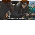 Bacons Together Strong