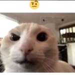 Anime kizi