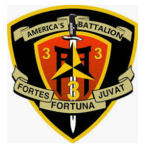 [VWRP] 3rd Battalion 3rd Marines "The Dirty Third"