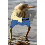 Bob The Builders