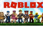 Roblox community's