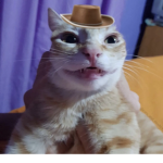 Hey -_-
