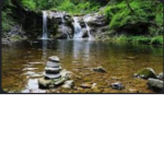 The creekside group