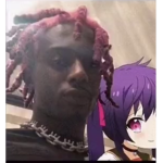 .vioss