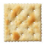 The Salty Crackers