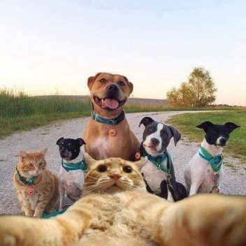[Chill Hangout with friends] PH only