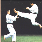 Karate fighters
