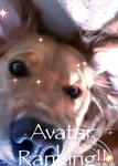 *<>Avatar Ranking <>*