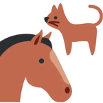 Horse koala kitty’s cats