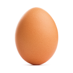 A Egg Testing game
