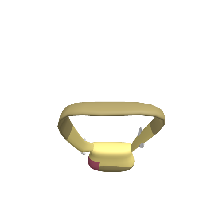 Leaf Green Trainer’s Purse