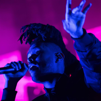X♥O