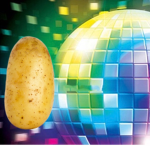 DISCO_Potato