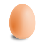 .EGG NATION.