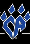 Panthers Allstars Cheer