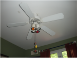 san luis fan co.