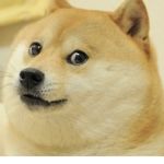 Spec op doges