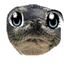 Seal Country