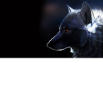 The Midnight Wolf