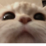 EggsnToast