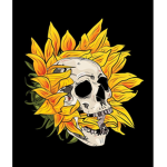 【·Skull Gang·】