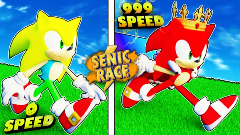 More About Sonic Race, Image source: Roblox.com