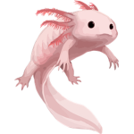 Axolotl's Asemble