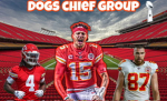 Dogs chief squad