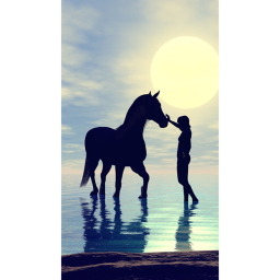 ~Majestic meadow equestrian Stables~
