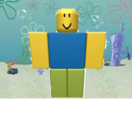 BOBUX ADMIRIERS