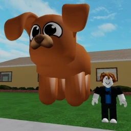 My Pet Puppy!