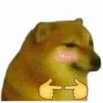 Dank Doge Meme